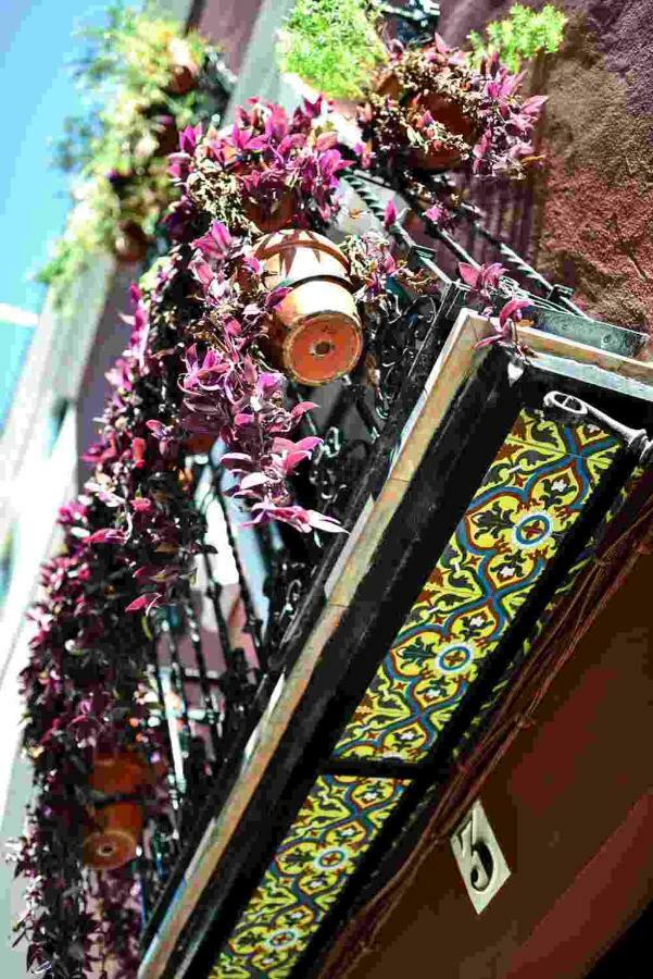 Casa Alfalfa 2 Dormitorios Terraza Y Solarium Privado 塞维利亚 外观 照片