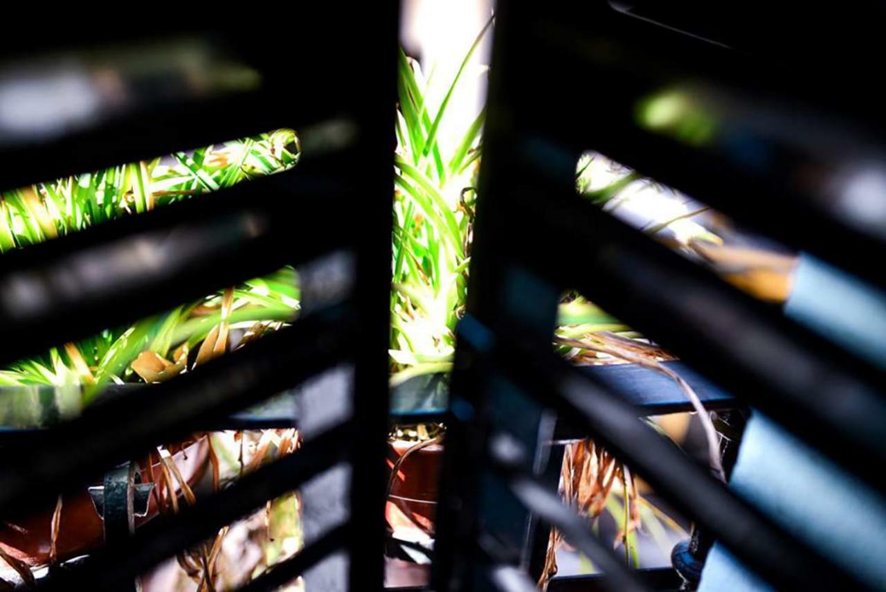 Casa Alfalfa 2 Dormitorios Terraza Y Solarium Privado 塞维利亚 外观 照片