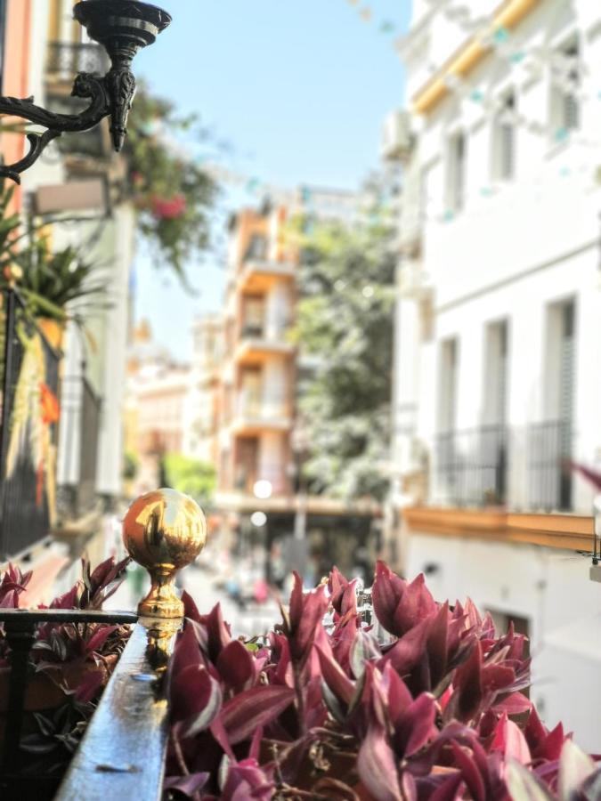 Casa Alfalfa 2 Dormitorios Terraza Y Solarium Privado 塞维利亚 外观 照片
