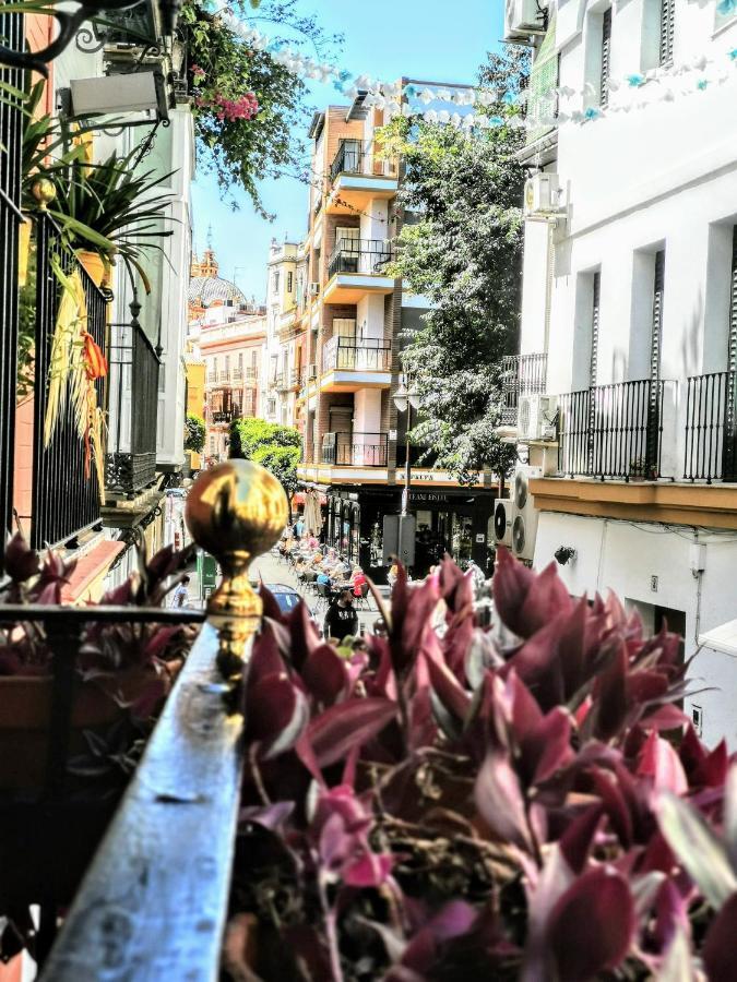 Casa Alfalfa 2 Dormitorios Terraza Y Solarium Privado 塞维利亚 外观 照片